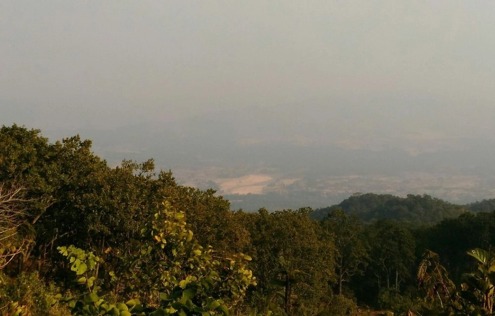 Koel View Point Image